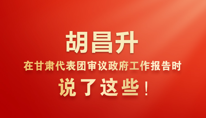  图解|胡昌升在甘肃代表团审议政府工作报告时说了这些！