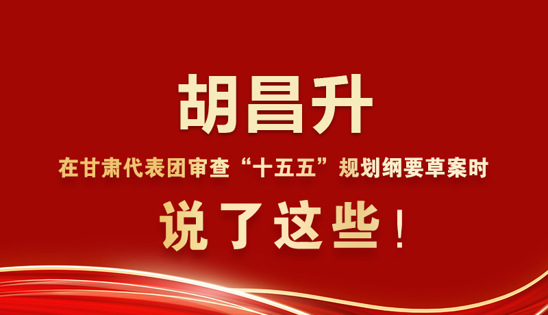 图解|胡昌升在甘肃代表团审查“十五五”规划纲要草案时说了这些！