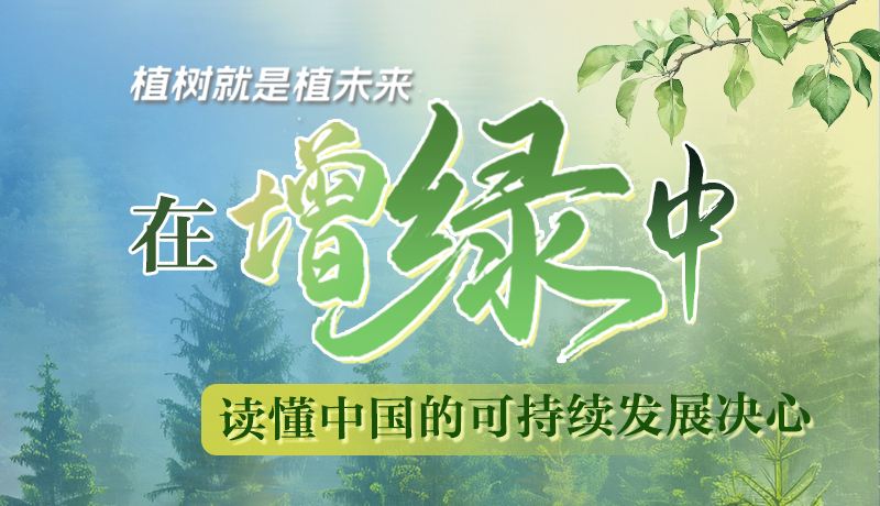 【理响中国 话陇点睛】植树就是植未来，在增绿中读懂中国的可持续发展决心